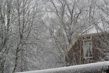 2010_12_21 Lo Sneeuw dagen rond Gameren