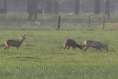 2011_04_20 Lo met Sjaak Rampert en Nederhemert
