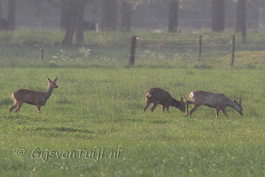 2011_04_20 Lo met Sjaak Rampert en Nederhemert