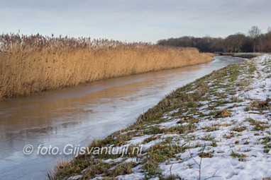 2017_01_20 Lo Winterse plaatjes