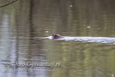 2017_04_07 Lo De Hurnse Kil