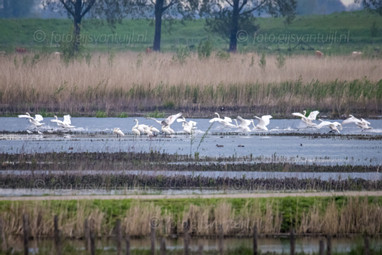 2021_05_11 Munnikenland Brakel