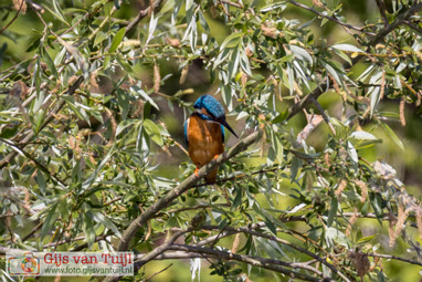 2022_05_04 Uiterwaard Gameren