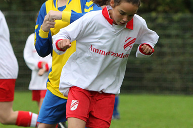 2011_10_08 Lo Ammerzoden MD1 - Kerkwijk MD1 2 - 5