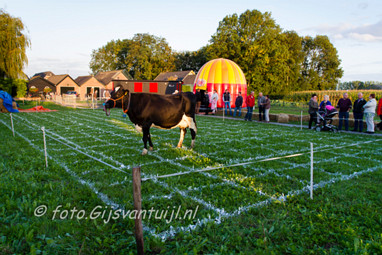 2015_09_25 Lo d'n Treffer waar schijt de Koe