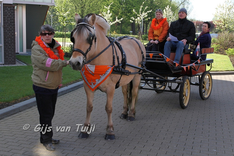 IMG_3000 5832 cr