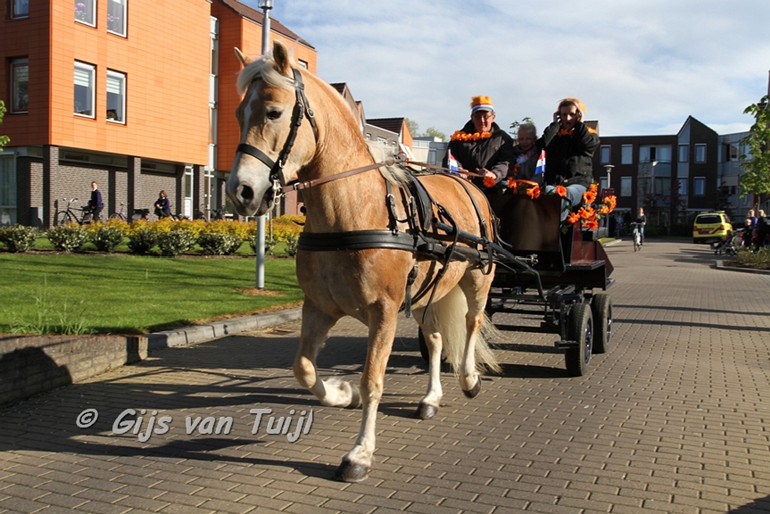 IMG_3000 5854